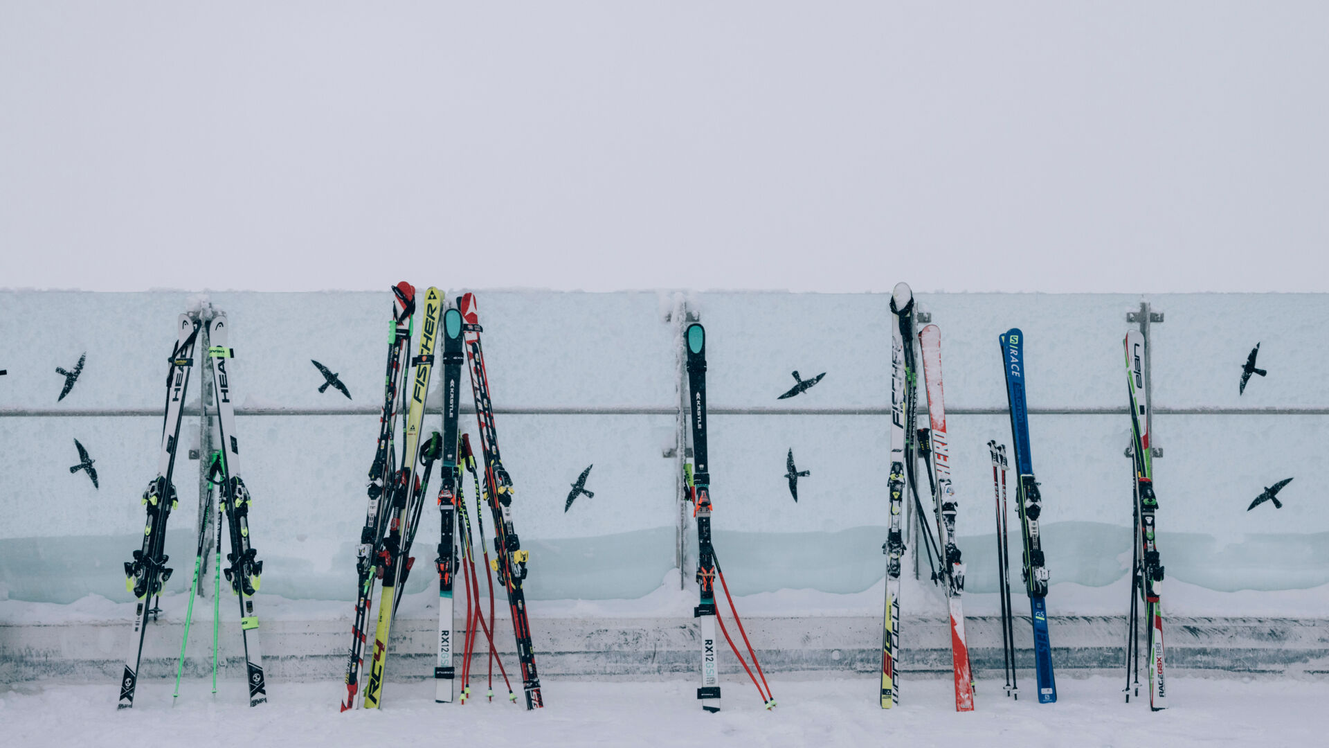 CSP_01212023_Weisser_Ring_050